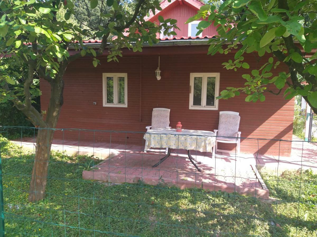 Rustic Country House In Snagov Apartment Exterior photo